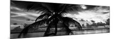 Premium Photographic Print