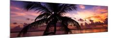 Premium Photographic Print