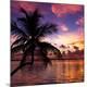 Premium Photographic Print