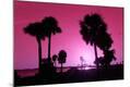 Photographic Print