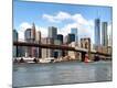 Photographic Print