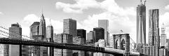 Premium Photographic Print