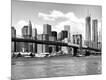 Photographic Print