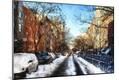 Premium Giclee Print