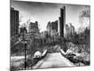 Photographic Print