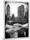 Photographic Print