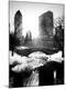 Photographic Print