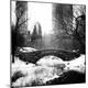 Premium Photographic Print