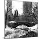 Photographic Print