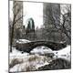 Premium Photographic Print