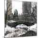 Photographic Print
