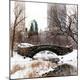 Premium Photographic Print