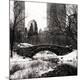 Premium Photographic Print