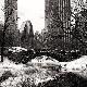 Premium Photographic Print