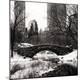 Photographic Print