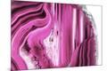 Premium Photographic Print