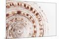 Premium Photographic Print