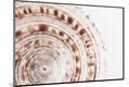 Premium Photographic Print
