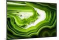 Premium Photographic Print