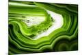 Premium Photographic Print