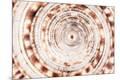 Premium Photographic Print