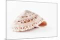 Premium Photographic Print