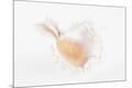 Premium Photographic Print