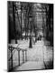 Photographic Print