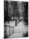 Photographic Print