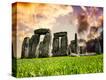 Stretched Canvas Print
