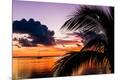 Premium Photographic Print
