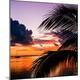 Premium Photographic Print