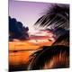 Premium Photographic Print