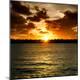 Photographic Print