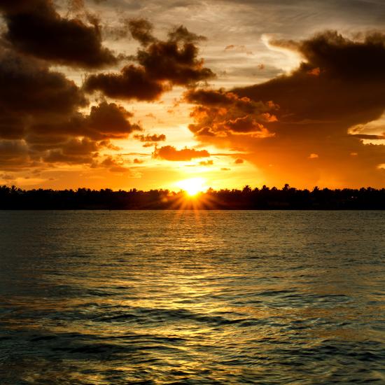 Photographic Print, , large