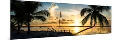 Premium Photographic Print