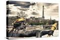 Stretched Canvas Print