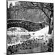 Premium Photographic Print