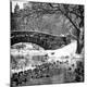 Premium Photographic Print