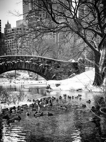 Premium Photographic Print, , large