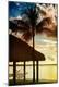 Premium Photographic Print