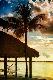 Premium Photographic Print