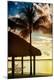 Premium Photographic Print