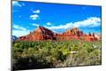 Photographic Print