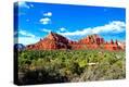 Stretched Canvas Print
