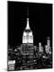 Photographic Print