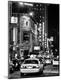 Premium Photographic Print