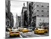 Premium Photographic Print