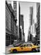 Premium Giclee Print