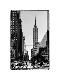 Premium Photographic Print